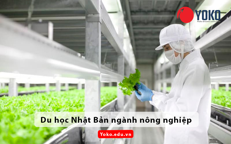 du-hoc-nhat-ban-nganh-nong-nghiep
