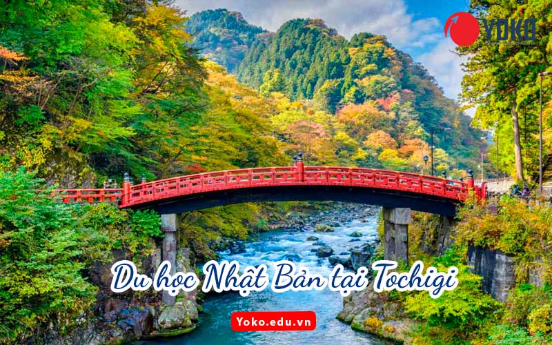 du-hoc-nhat-ban-tai-Tochigi