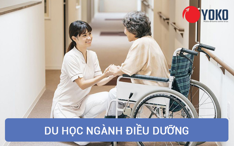 Chọn ngành điều dưỡng để học tại Nhật