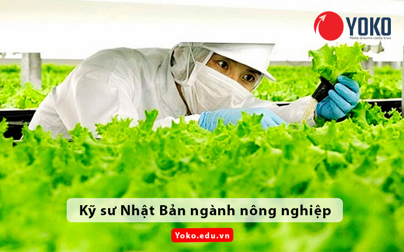 ky-su-nhat-ban-nganh-nong-nghiep