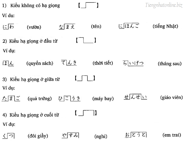 Trọng Âm Tiếng Nhật Và Sự Khác Biệt Cách Đánh Trọng Âm Giữa Các Vùng Miền 2