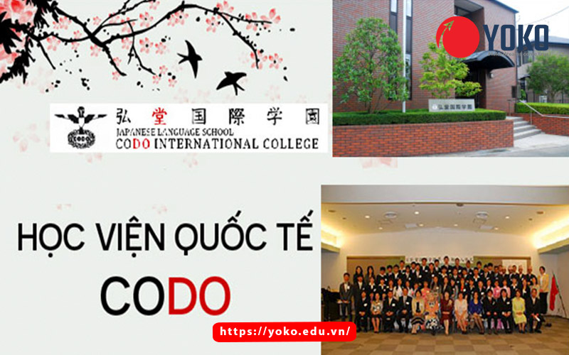 truong-hoc-vien-quoc-te-codo