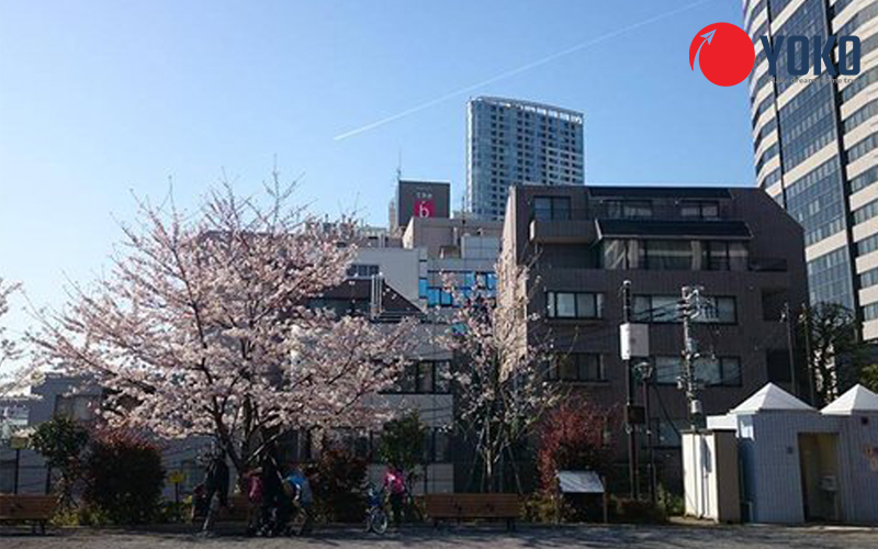 Giới thiệu trường Nhật ngữ Edo ở Tokyo
