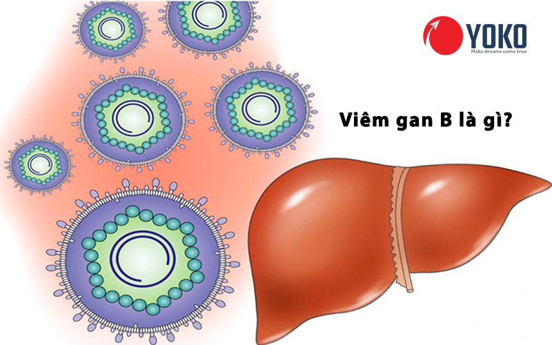 viem-gan-b-la-gi