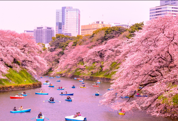MERIC JAPANESE LANGUAGE SCHOOL