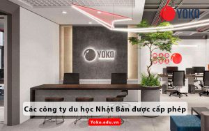 cong-ty-du-hoc-nhat-ban-duoc-cap-phep-YOKO