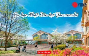 du-hoc-nhat-ban-tai-Yamanashi