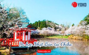 du-hoc-nhat-ban-tai-chiba