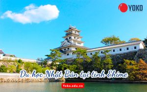 du-hoc-nhat-ban-tai-ehime