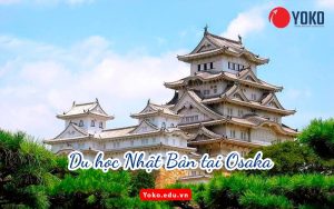 du-hoc-nhat-ban-tai-osaka