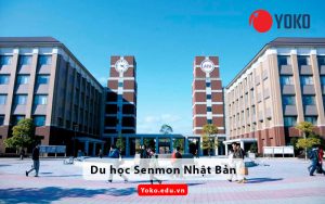 du-hoc-senmon-nhat-ban