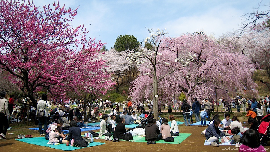 ANABUKI COLLEGE