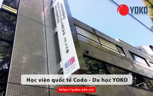 hoc-vien-quoc-te-codo