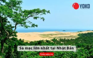 sa-mac-lon-nhat-tai-nhat-ban