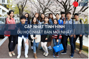 Tình hình du học Nhật Bản hiện nay